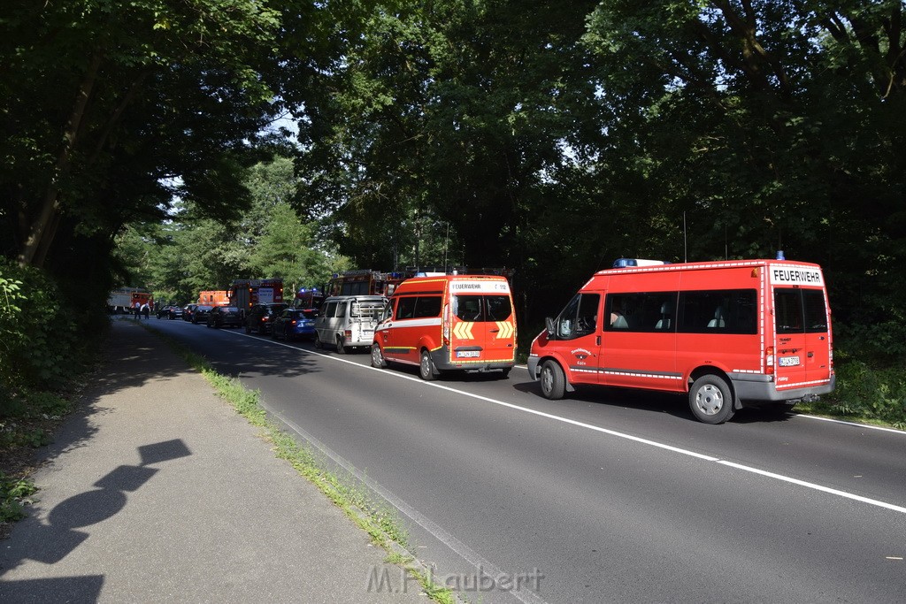 Waldbrand Koeln Hoehenhaus Hoehenfelder Mauspfad P001.JPG - Miklos Laubert